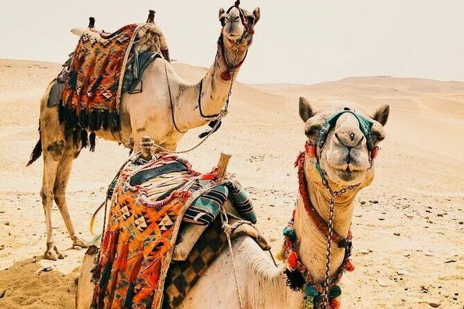 Luxury 5 Days Desert Tour From Marrakech 2025 - Analyzing the Itinerary: What to Expect