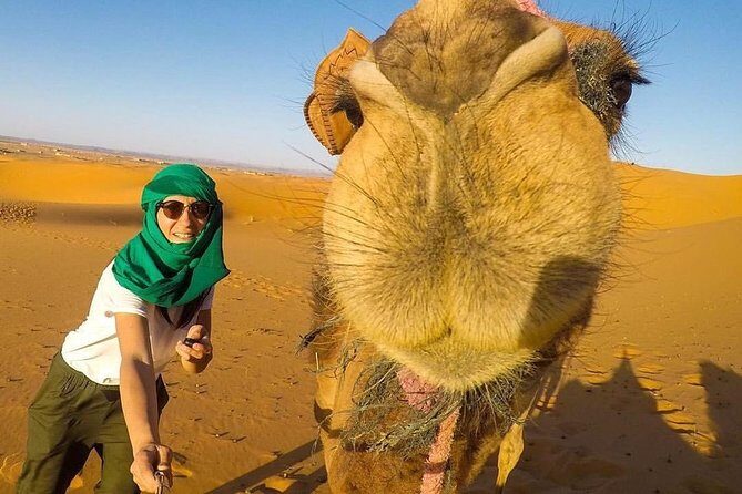 LUXURY Desert Camp: 3 Days Marrakech to Merzouga and Camel Trek - The Itinerary in Detail