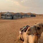 Luxury Overnight Desert Safari in Salalah - Authentic Tips from Reviewers