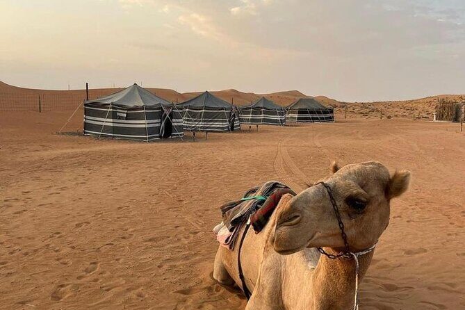Luxury Overnight Desert Safari in Salalah - Authentic Tips from Reviewers