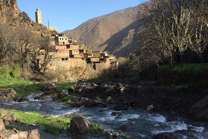 Luxury private day trip - Atlas Mountains, Agafay Desert & camels - Practicalities & What to Expect
