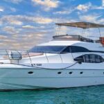 Luxury Private Yatch 52ft Dubai Marina with Pick up & Drop Off - What to Expect from the Itinerary