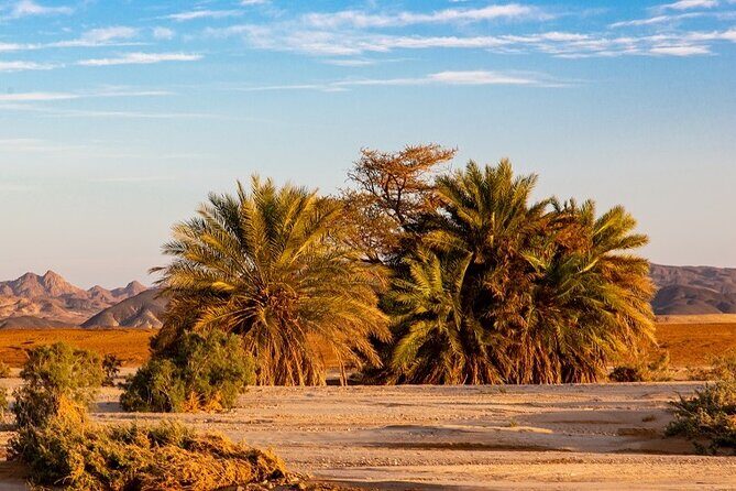 Luxury Sunset Safari to the Oasis & Starlit Dinner from Hurghada - Why This Tour Offers Strong Value