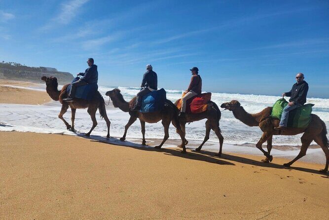 Luxury Tangier private Day Tour from Tarifa Spain All inclusive - Why Choose This Tour?