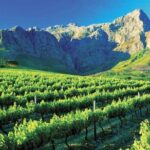Luxury Wine Tour with Lunch - The Stops: A Closer Look at the Day’s Highlights