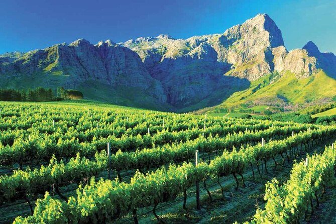 Luxury Wine Tour with Lunch - The Stops: A Closer Look at the Day’s Highlights