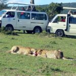 Maasai Mara 2-Day Safari Tour from Nairobi - Exploring the Maasai Mara 2-Day Safari Tour from Nairobi: An Honest Look