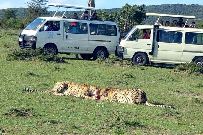 Maasai Mara 2-Day Safari Tour from Nairobi - Exploring the Maasai Mara 2-Day Safari Tour from Nairobi: An Honest Look