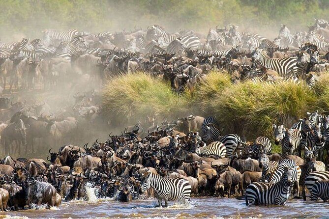 Maasai Mara 3 Day Guided Tour - What Makes This Tour Stand Out?
