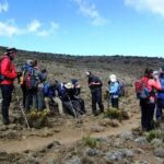 Machame Route 6 days 5 Nights/Kilimanjaro Climb - Day-by-Day Breakdown: What to Expect