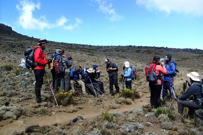 Machame Route 6 days 5 Nights/Kilimanjaro Climb - Day-by-Day Breakdown: What to Expect