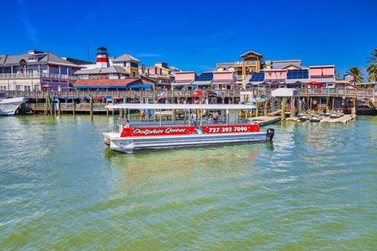 Madeira Beach: Guided Dolphin Watching Eco-Friendly Cruise - Final Thoughts