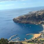 Madeira East Express: Ponta de São Lourenço and Villages - Who Is This Tour Perfect For?
