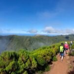 Madeira: Fanal Forest Walk & Meal - The Culinary Experience