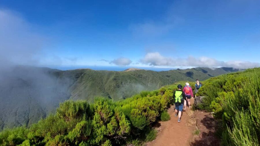 Madeira: Fanal Forest Walk & Meal - The Culinary Experience
