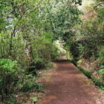 Madeira: Levada Paradise Valley Scenic Walk - Final Thoughts