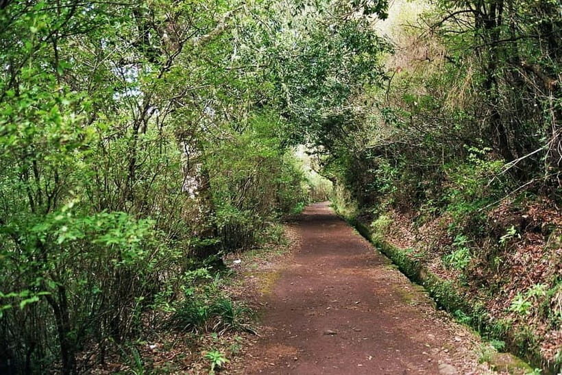 Madeira: Levada Paradise Valley Scenic Walk - Final Thoughts