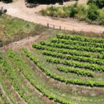 Madeira: Mystical 4WD Jeep Tour - Exploring the Itinerary in Detail