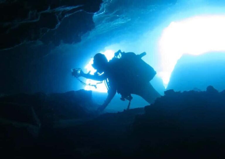 Madeira: Ponta de São Lourenço Shore Dive (certified divers) - Why This Shore Dive Stands Out