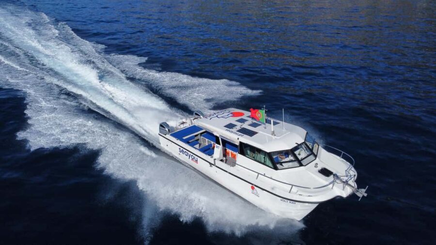 Madeira: Private Cruise - Departure From Funchal - What to Expect During the Cruise
