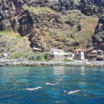 Madeira: Sunset Dinner Cruise - Authentic Reviewer Insights