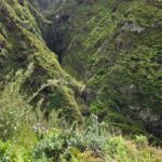 Madeira: Vereda da Ladeira  Challenging Full-Day Hike - What to Expect on the Trail