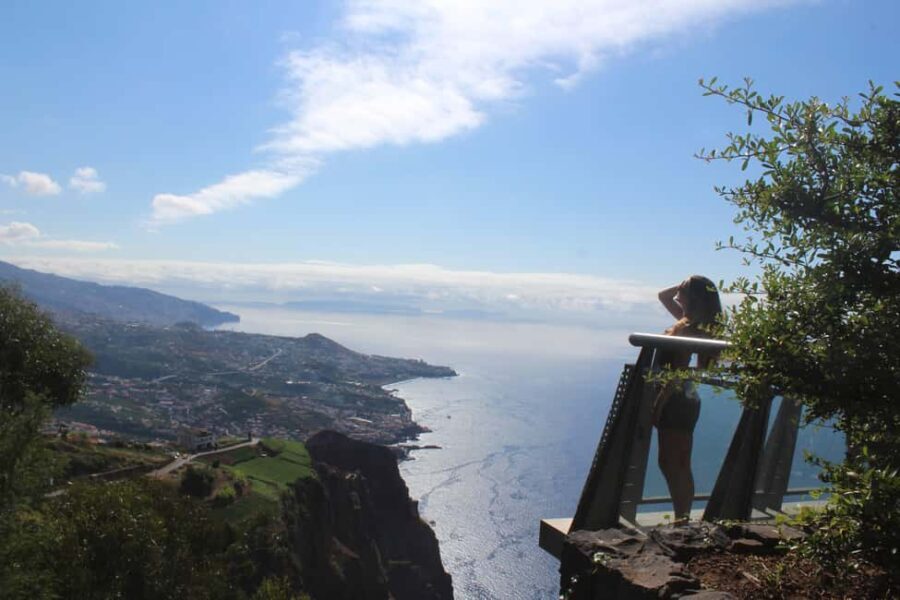 Madeira: Vineyard Tour w/ Wine Tasting & Skywalk - The Vineyard and Its Surroundings