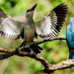 Madikwe Game Reserve Day Tour (Minimum per booking: 5 People) - In-Depth Look at the Itinerary