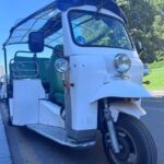 Madrid: 4-Hour Tuk Tuk Guided Tour - Who Is This Tour Best For?