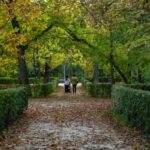 Madrid: Private Retiro Park Tour With Local Guide - Who is this tour best suited for?