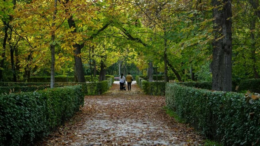 Madrid: Private Retiro Park Tour With Local Guide - Who is this tour best suited for?