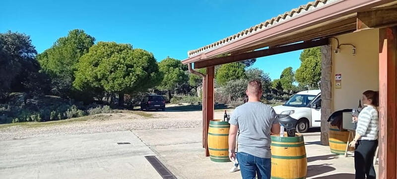 Madrid Wine Tour: Discover Unique Local Wineries & Tastings - Visiting Boutique Wineries