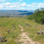 Madrid Winery Tour: Visit & Tasting With Sommelier Guide - Why This Tour Offers Great Value