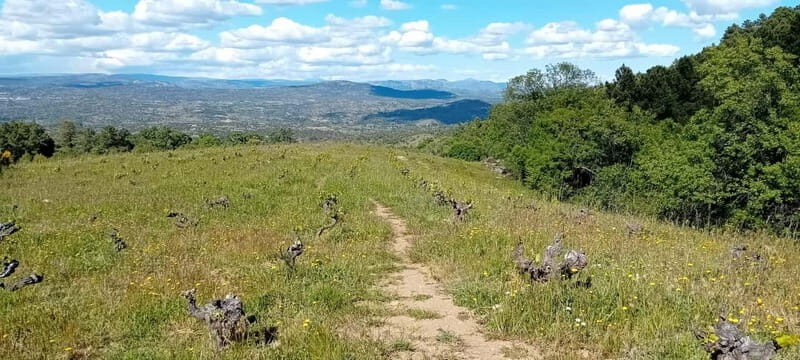 Madrid Winery Tour: Visit & Tasting With Sommelier Guide - Why This Tour Offers Great Value