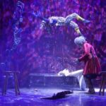 Magic World  Magic Festivals - Who Will Love This Show?