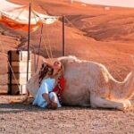 Magical Dinner show and Quad bike In Agafay Desert Marrakech - What You Need to Know
