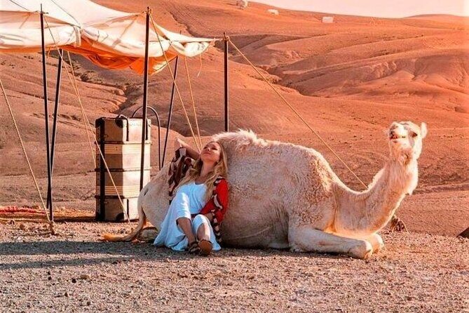 Magical Dinner show and Quad bike In Agafay Desert Marrakech - What You Need to Know