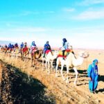 Magical dinner, sunset, music and fire show in Agafay desert - The Itinerary: What to Expect