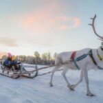 Magical Private Santa Visit, Reindeer Ride & Elf Workshops - FAQs