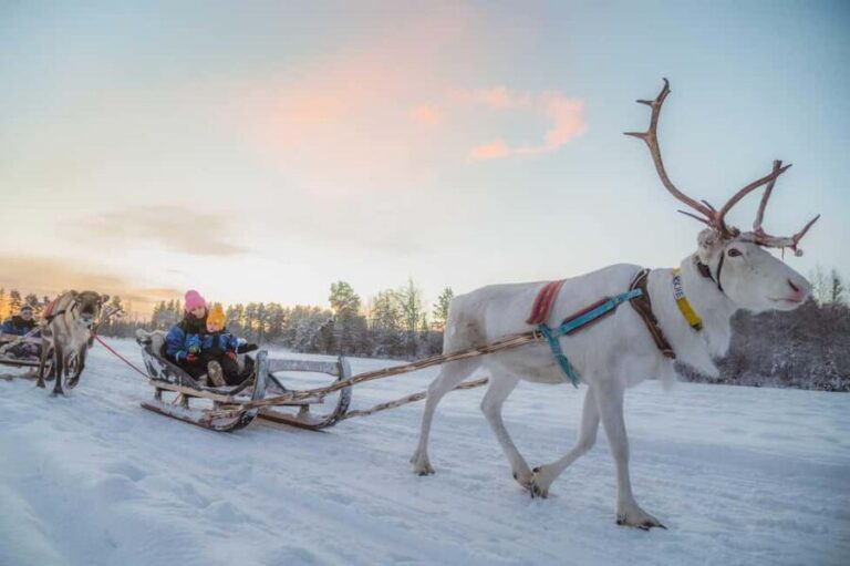 Magical Private Santa Visit, Reindeer Ride & Elf Workshops - FAQs