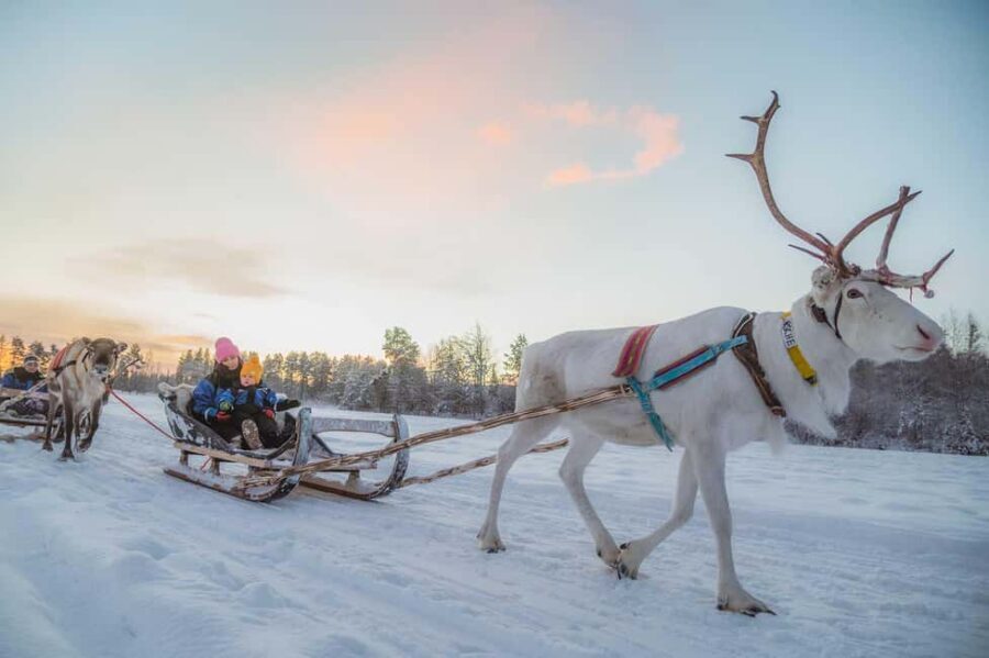 Magical Private Santa Visit, Reindeer Ride & Elf Workshops - FAQs