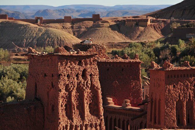 Magical Tour of Kasbahs, Ouarzazate & Oasis 1 night 2 days - Practical Tips and Considerations