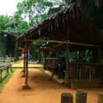 Magoroto Forest Reserve(3 Days) - Authenticity and Unique Aspects