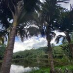 Mahe island Seychelles , unforgettable & adventurous tour - Who Should Consider This Tour?