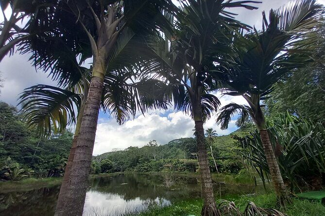 Mahe island Seychelles , unforgettable & adventurous tour - Who Should Consider This Tour?