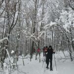 Maiella: Scenic snowshoe hike suitable for all - What to Expect on the Day