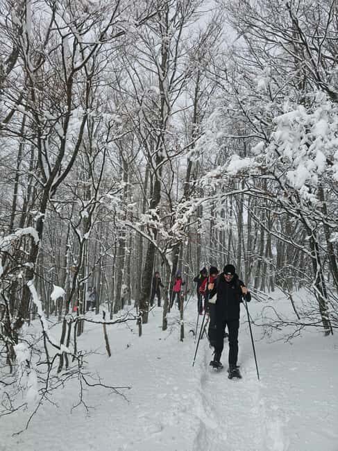 Maiella: Scenic snowshoe hike suitable for all - What to Expect on the Day