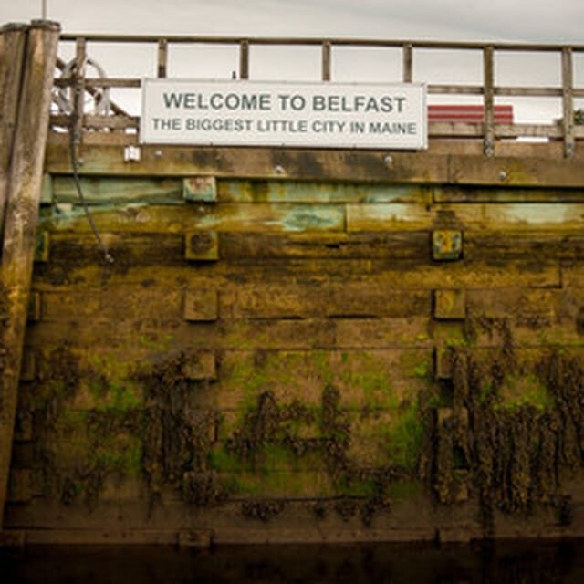 Maine: Belfast VIP Private Harbor Cruise - What to Expect During the Tour