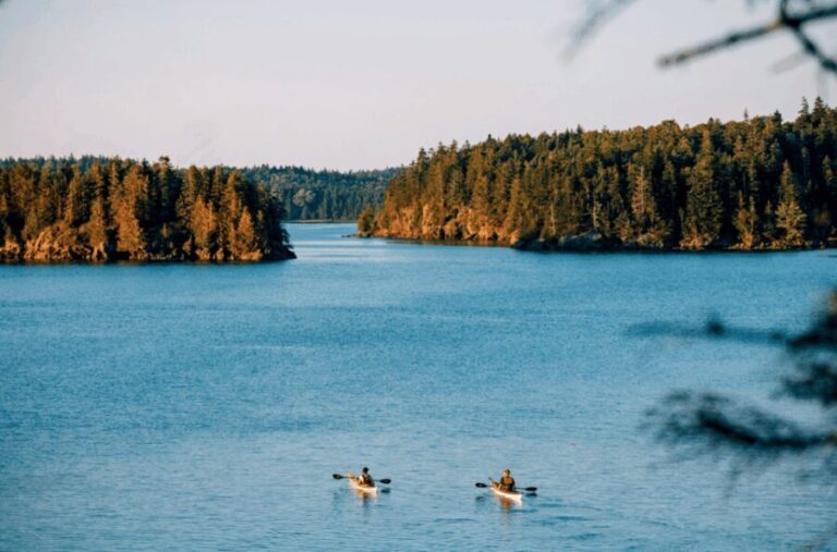 Maine: Half-Day Single Kayak Rental - Who Will Love This Experience?