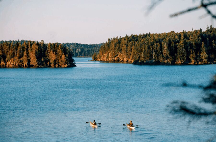 Maine: Half-Day Single Kayak Rental - Who Will Love This Experience?